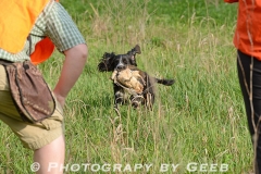 Matt Zifcheck and Tux in the field