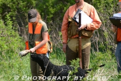 Sarah Shull taking the bird from Rhino.