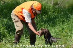 Keeper on the retrieve