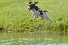 Jeter Flying into the water