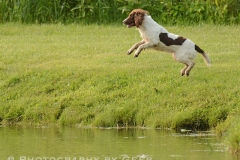 Lucy getting big air