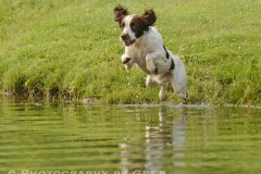 Paddy launching