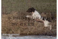 08-NOC-Lussen-Spirit